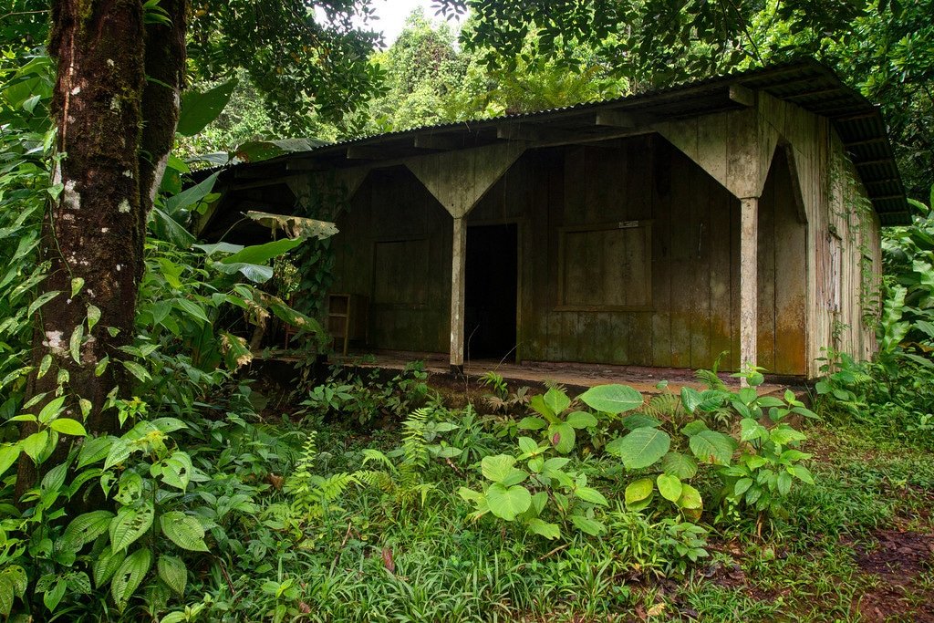 Chocolate Farm in Costa Rica